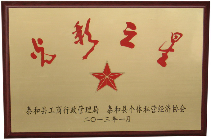泰和县工商局“光彩之星”