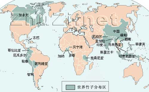 世界竹类资源及分布