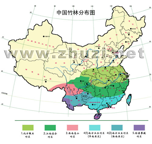 中国竹类资源及分布