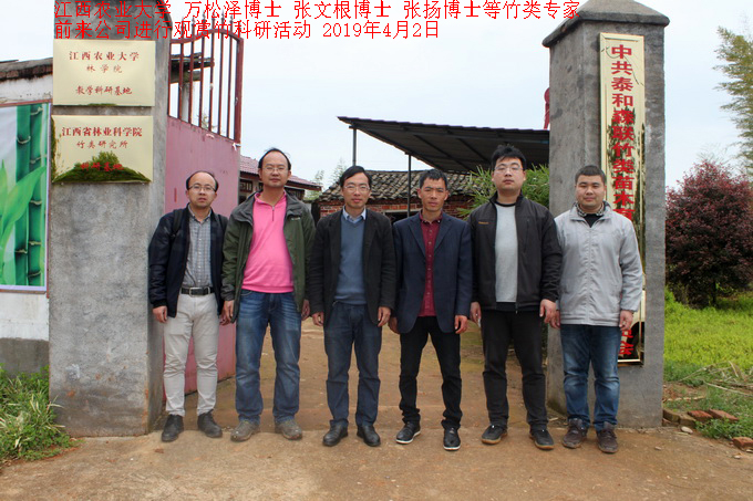 公司概况